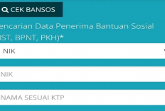 Siap-Siap Bansos PKH Bakalan Cair di Bulan Desember Rp 900.000