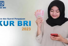 Cara Pinjam Uang Rp 50 Juta dengan Cicilan Kurang dari 1 Juta, Begini Syarat Ajukan KUR BRI