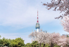 Viral TikToker Indonesia Bagikan Pengalaman Culture Shock di Korea Selatan, Tarik Perhatian Netizen