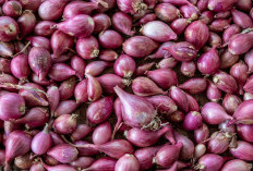 Tips Bawang Merah Agar Tidak cepat Busuk, Emak-emak Wajib pakai Cara Ini!