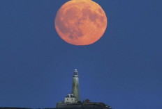 Fenomena Supermoon dapat Dilihat dari Indonesia!