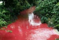 Geger! Air Sungai di Bandung Mendadak Berwarna Merah, Warga Auto Panik