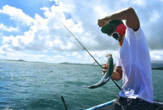 5 Spot Terbaik untuk Mancing di Indonesia, Auto Strike!