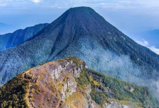 Merinding! 5 Cerita Mistis di Gunung Gede yang Bikin Merinding Semalaman