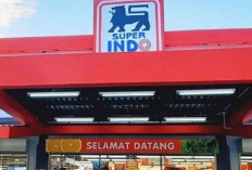 Serbu Diskon! Katalog Promo JSM Superindo Terbaru Hari Ini, Sabtu 1 Juli 2023: Belanja Sembako dan Daging Makin Hemat