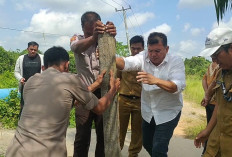 Kunjungan DPRD Kota Jambi Terhambat, Warga Blokir Jalan Menuju Intake Aurduri