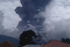 Gunung Marapi Meletus, Puluhan Pendaki Dievakuasi