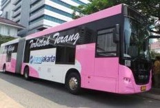 Kabar Gembira, TransJakarta Khusus Perempuan Kembali Hadir