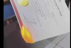 Geger Wanita Bakar Ijazah Pacar, Warganet : 4 Tahun Bukan Waktu yang Sebentar!