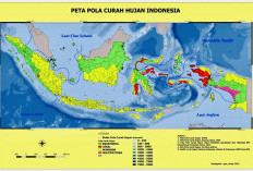 Ayo Buktikan Bersama! Ini Ramalan Hujan di Jakarta dari BMKG