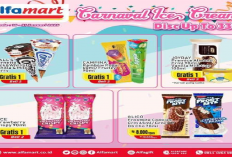 Yuk Ambil Promo Carnaval Ice Cream, Aktif Sampai 30 Januari 2025!