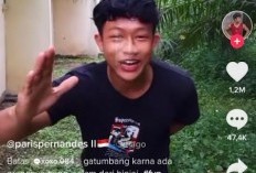 Salam dari Binjai! Mendadak Trending di Medsos, Aksi Memukuli Pohon Pisang jadi Guyonan Warganet