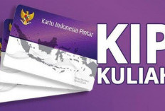 Bisa Dipakai Perguruan Tinggi Swasta, Begini Cara Daftar KIP!